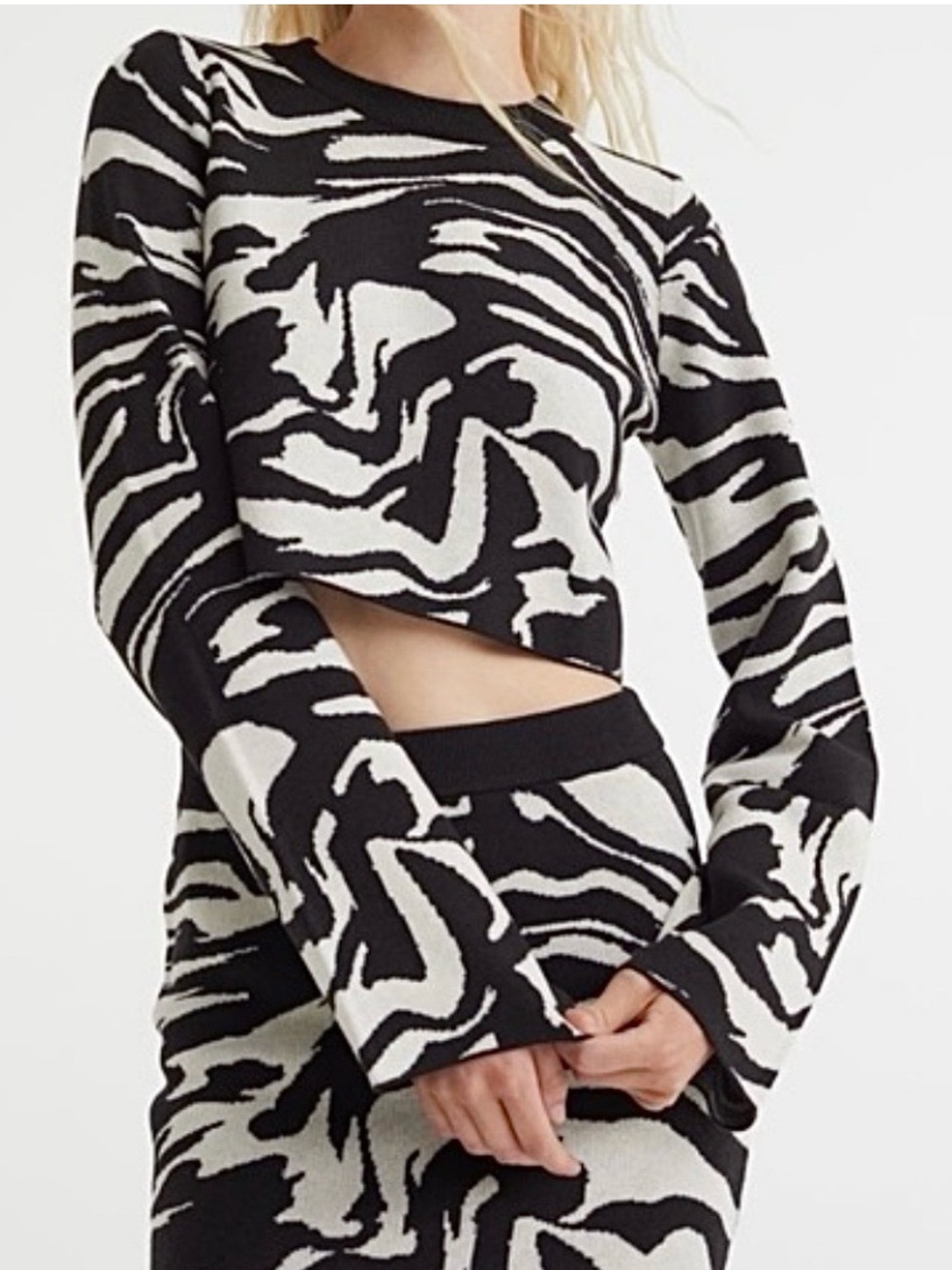 H&M Black and White Zebra Knit Crop Sweater NWT